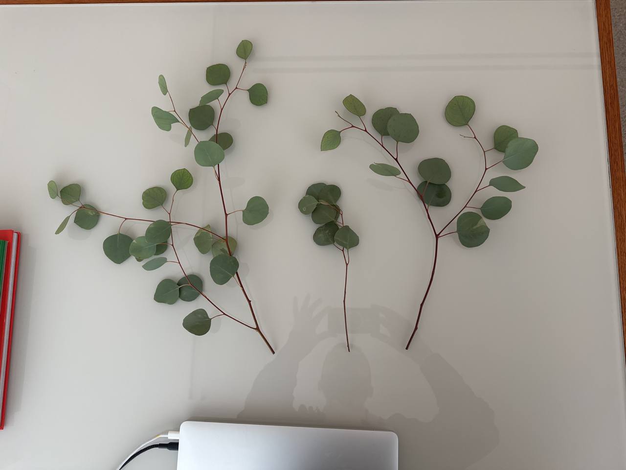 photo_2023-02-16 20.19.45.jpeg